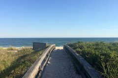 IMG_1309