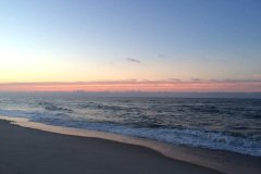IMG_1375