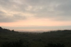 IMG_6141