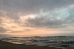 IMG_6144