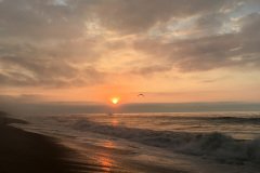 IMG_6149