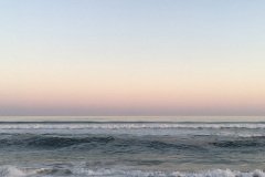IMG_6317