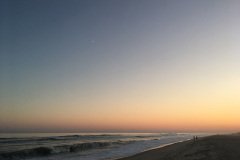 IMG_6330
