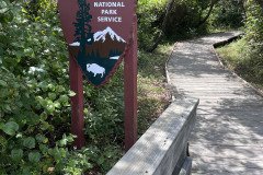IMG_4268
