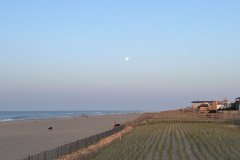 IMG_0263