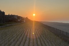 IMG_0264