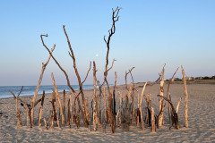 IMG_0265