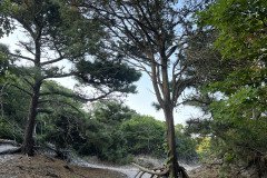 IMG_0271