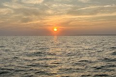 IMG_0338