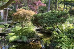 IMG_0352