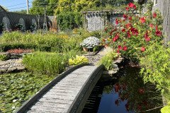 IMG_0353