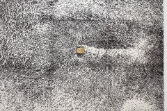 Giuseppe Penone, 2002 épines d’acacia sur toile