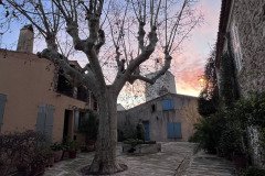 IMG_6262