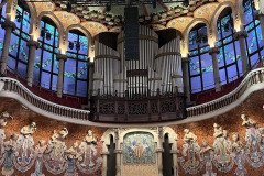 IMG_6487