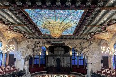 IMG_6496