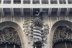 IMG_6513