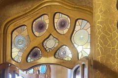 IMG_6558