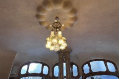 IMG_6568