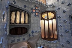 IMG_6576