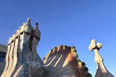 IMG_6599