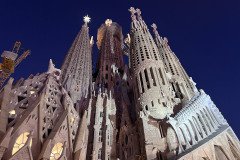 IMG_6625