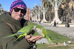 IMG_6638