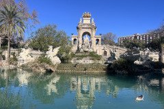 IMG_6645