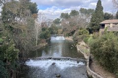 IMG_6721
