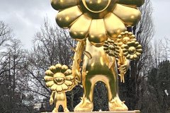 IMG_6931