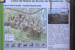 IMG_1131