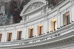 IMG_1524