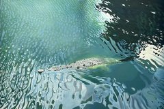 IMG_1536