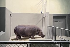 IMG_1540