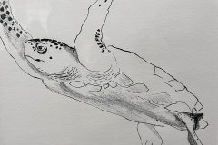 IMG_1546