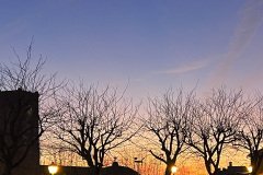 IMG_1774