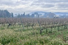IMG_1942