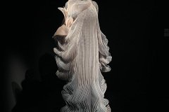 IMG_1994