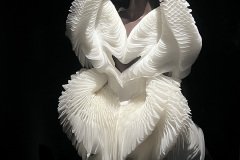 IMG_2012