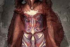IMG_2014