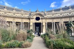 IMG_2135