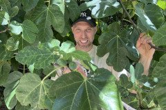 IMG_9206
