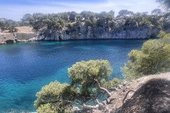 IMG_9493