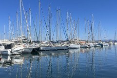 IMG_9818
