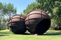 IMG_9917