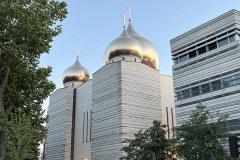 IMG_7407