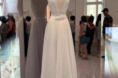 IMG_7520