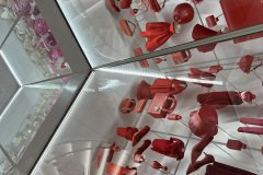 IMG_7540