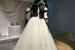 IMG_7593
